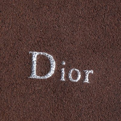 Dior Bag — 8