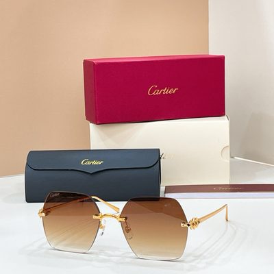 Cartier Sunglasses — 3
