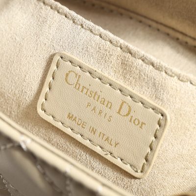 Dior Bag — 8