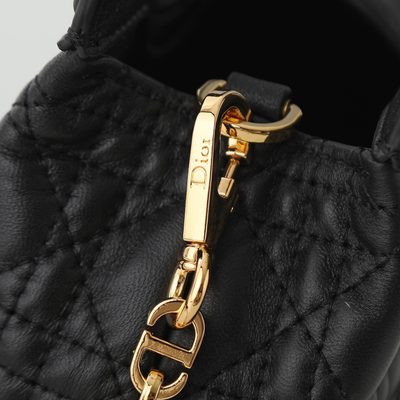 Dior Bag — 7