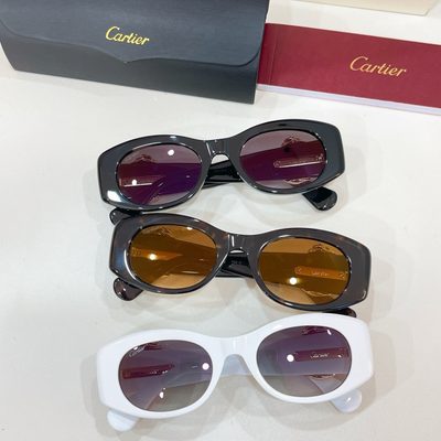 Cartier Sunglasses — 9