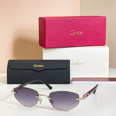 Cartier Sunglasses — 6