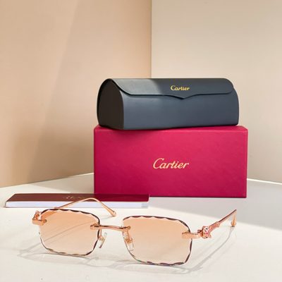 Cartier Sunglasses — 7