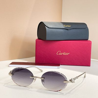 Cartier Sunglasses — 7