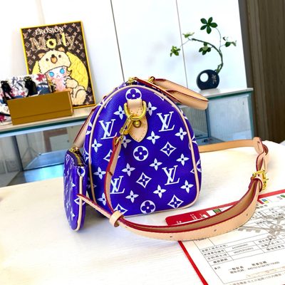 Louis Vuitton Bag — 6