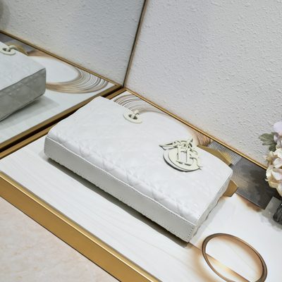 Dior Bag — 5