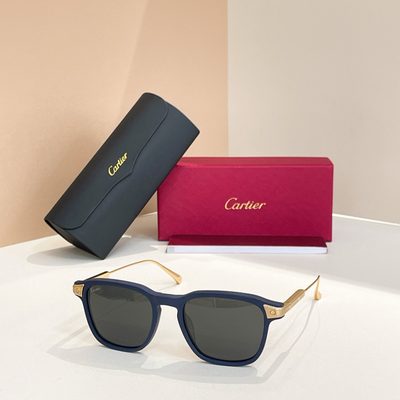 Cartier Sunglasses — 7