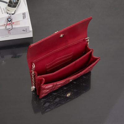 Dior Bag — 9