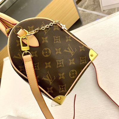 Louis Vuitton Bag — 9