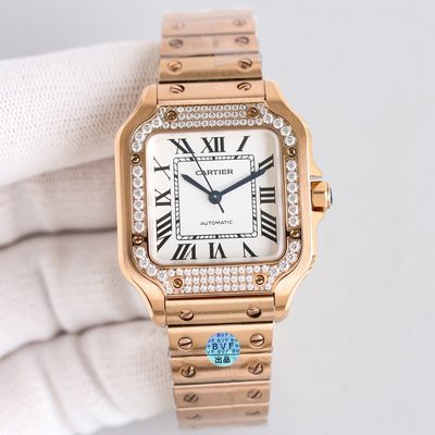 Cartier Watch
