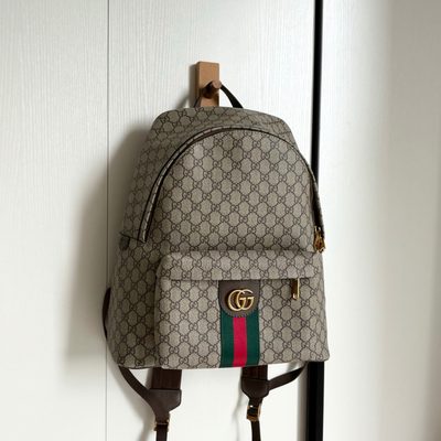 Gucci Bag — 9