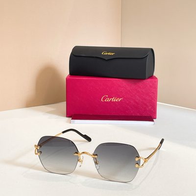 Cartier Sunglasses — 3