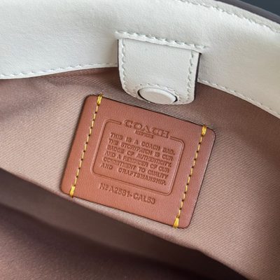 Coach Bag — 9
