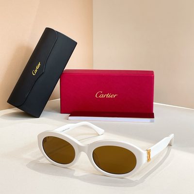 Cartier Sunglasses — 4