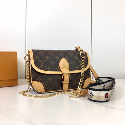 Louis Vuitton Bag — 5