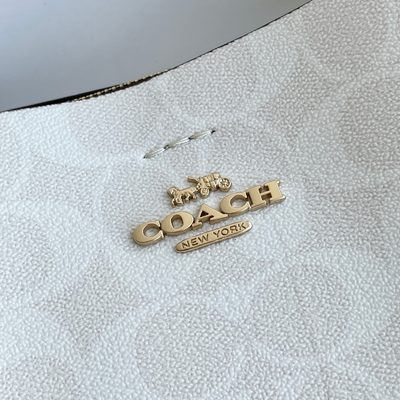 Coach Bag — 4