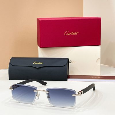 Cartier Sunglasses — 3
