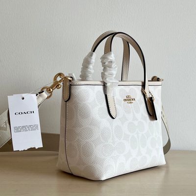 Coach Bag — 3