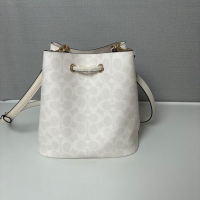 Coach Bag — 4