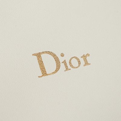 Dior Bag — 6