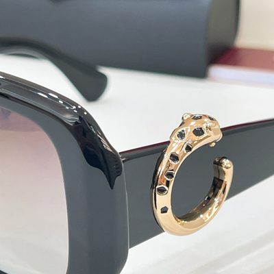 Cartier Sunglasses — 5