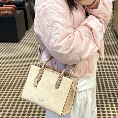 Coach Bag — 3