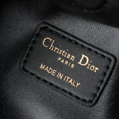 Dior Bag — 9