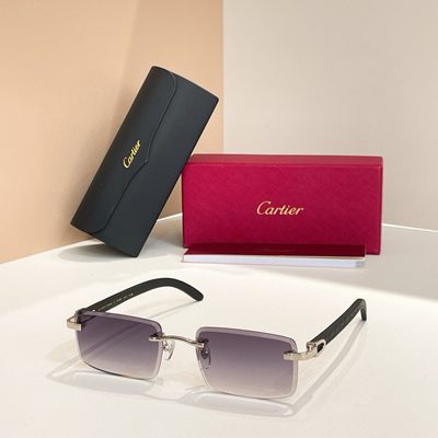 Cartier Sunglasses — 5