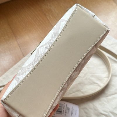 Coach Bag — 6