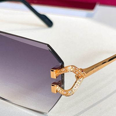 Cartier Sunglasses — 9