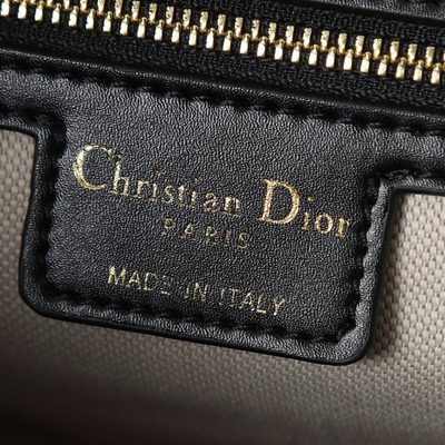 Dior Bag — 8