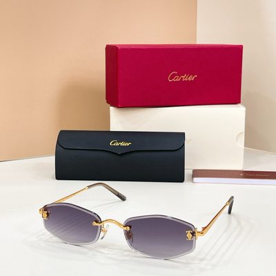 Cartier Sunglasses — 6
