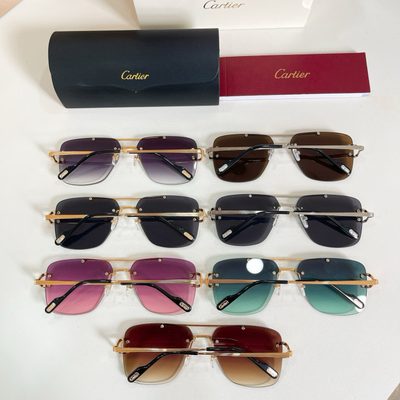 Cartier Sunglasses — 9