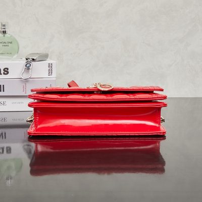 Dior Bag — 4
