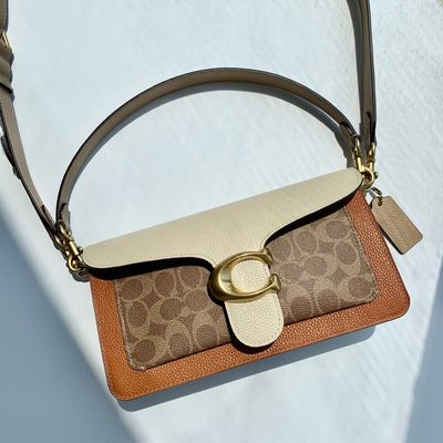 Coach Bag — 21