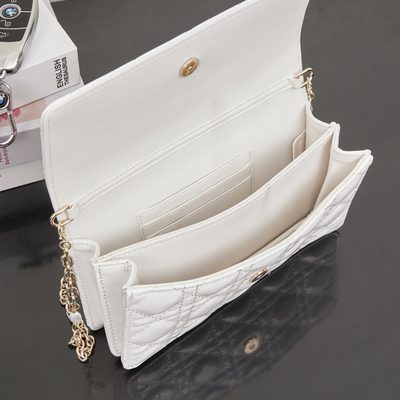 Dior Bag — 9
