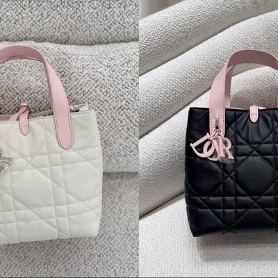 Dior Bag — 9