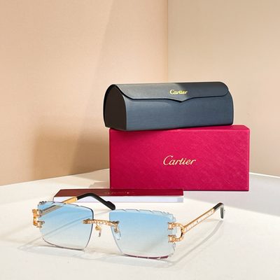 Cartier Sunglasses — 7