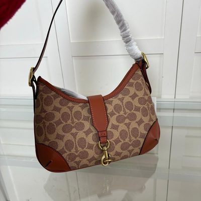 Coach Bag — 5