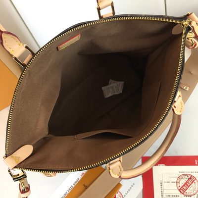 Louis Vuitton Bag — 9