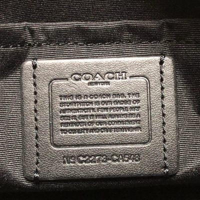 Coach Bag — 8