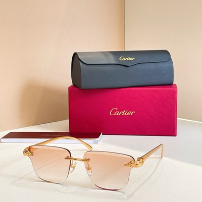 Cartier Sunglasses — 9