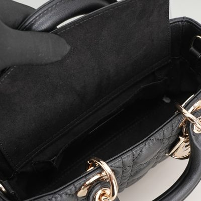 Dior Bag — 9