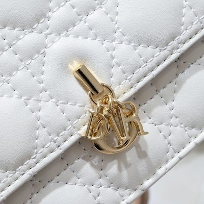 Dior Bag — 4