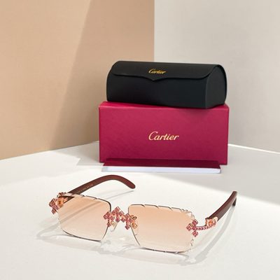Cartier Sunglasses — 4