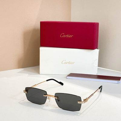 Cartier Sunglasses — 4