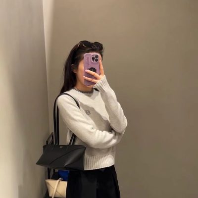 Loewe Bag — 6