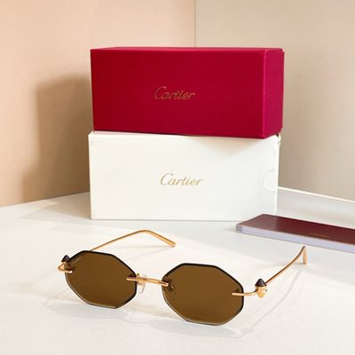 Cartier Sunglasses — 7