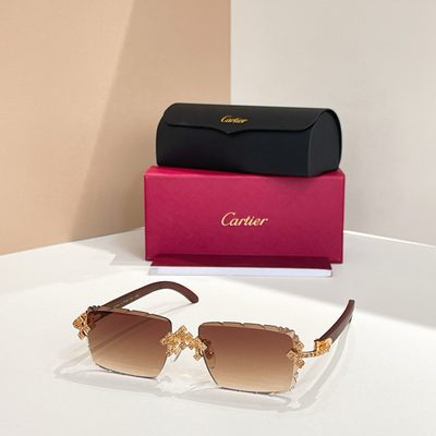 Cartier Sunglasses — 7