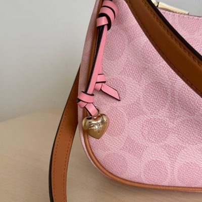 Coach Bag — 4